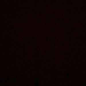 Meet your Posher, Kylee